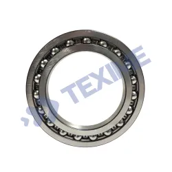 Deep Groove Ball Bearings 6019